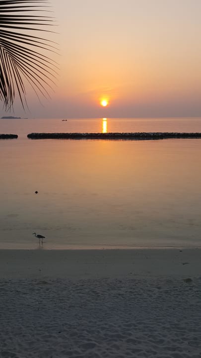 Sonnenaufgang vom Balkon aus  Summer Island Maldives