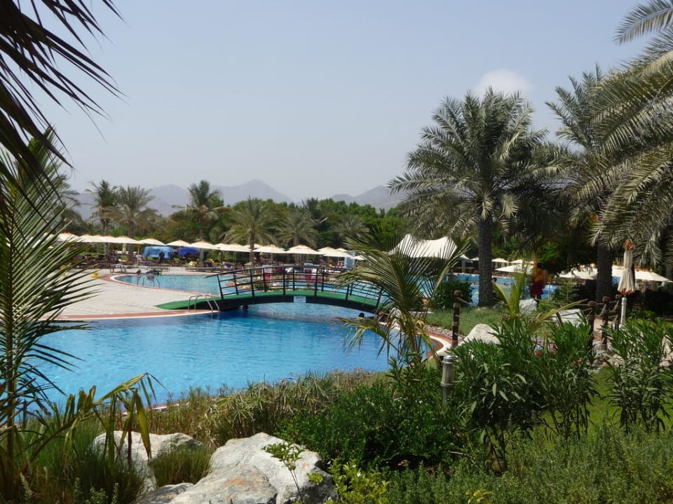 Pool Hotel Le Meridien Al Aqah Beach Resort
