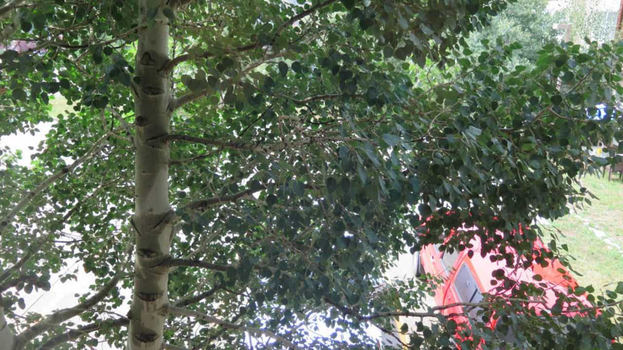 Zimmer 202 Hotel Luxury Inn And Suites