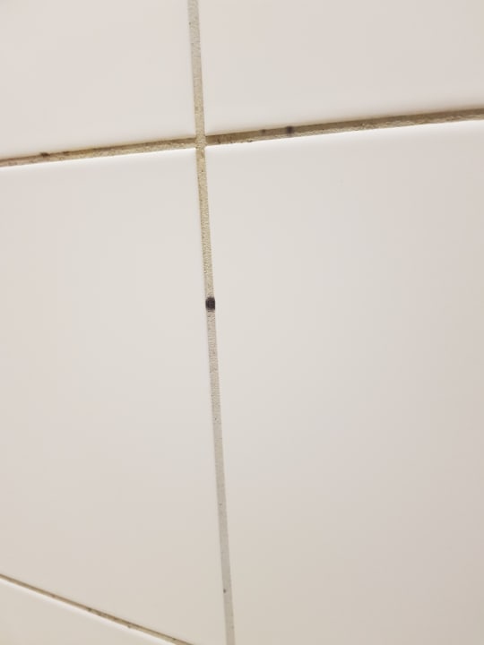 Zimmer BEECH Resort Boltenhagen