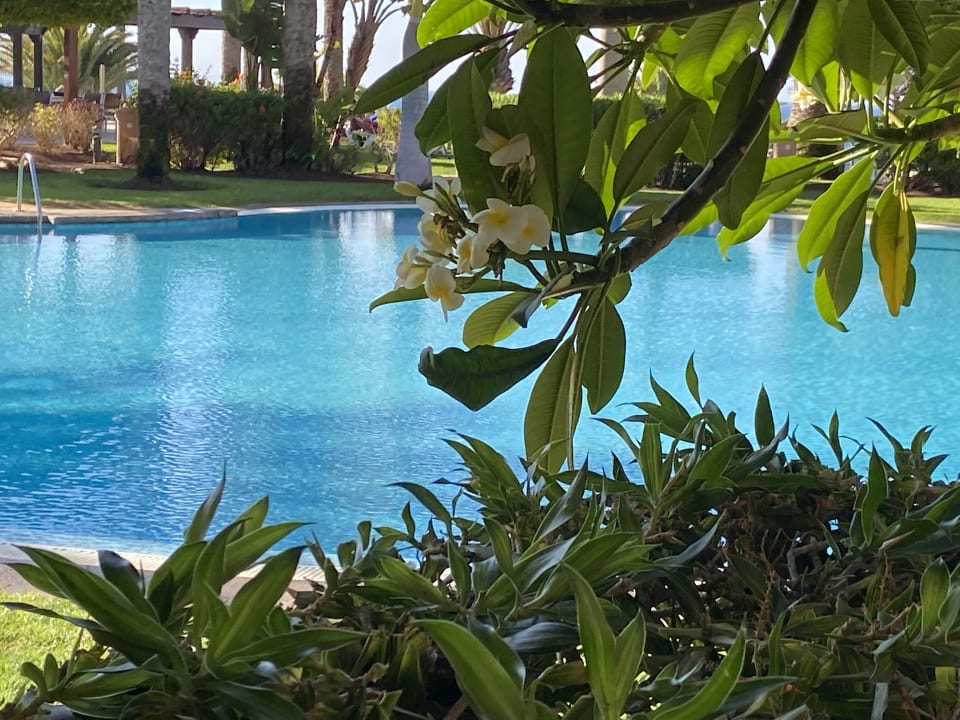 Pool R2 Rio Calma Hotel & Spa & Conference