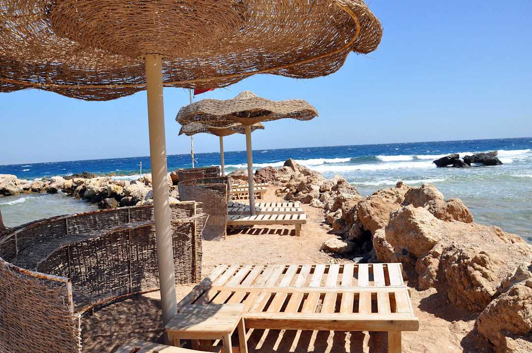 Strand mit Liegen  Pickalbatros Citadel Resort