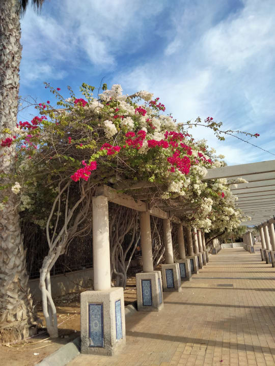 Sonstiges Hotel Riu Gran Canaria