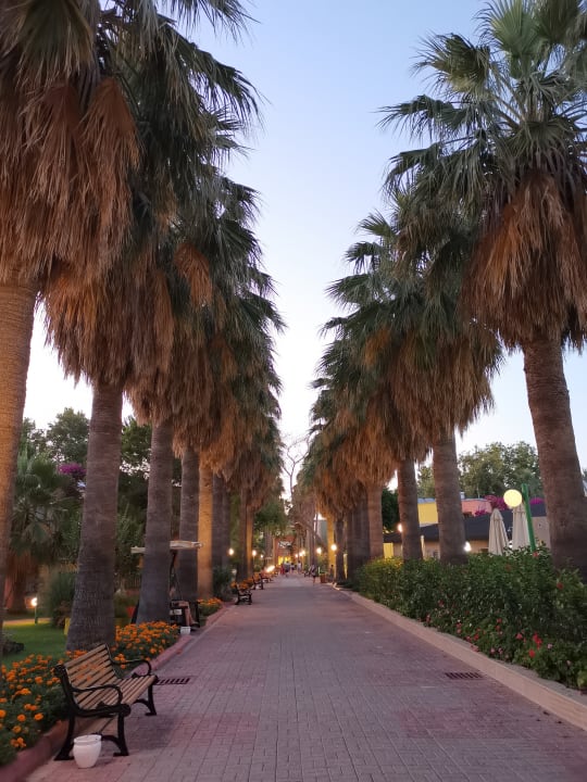 Gartenanlage VONRESORT Golden Beach