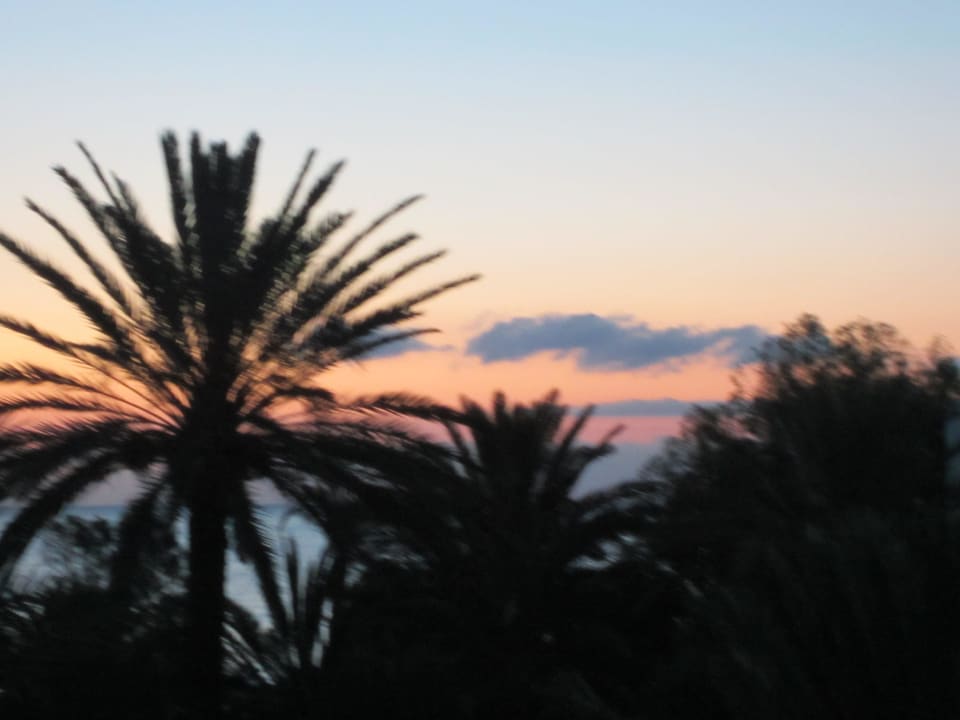 Blick vom Zimmer am Abend El Mouradi Club Kantaoui