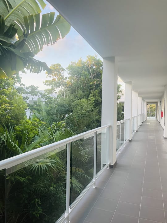 Gartenanlage Hotel Riu Tequila