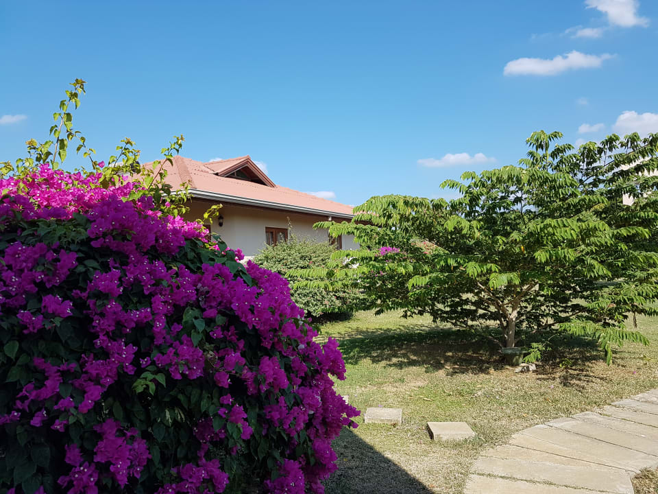 Außenansicht Hibiscus Garden Hotel