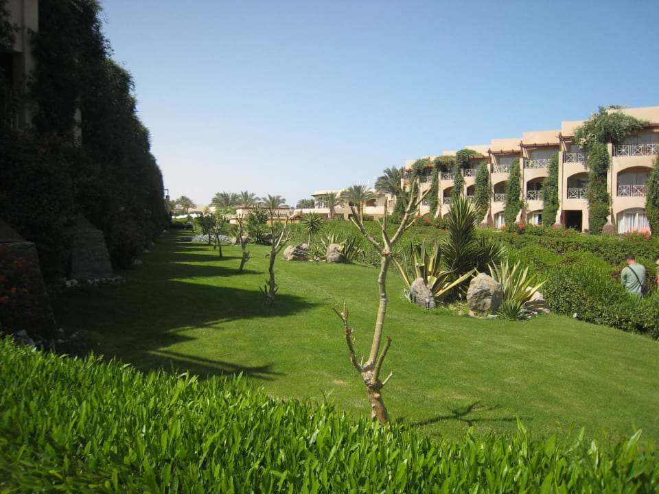 Вид отеля Prima Life Makadi Resort