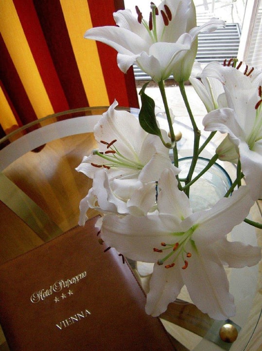 Hotel Papageno Hotel Papageno