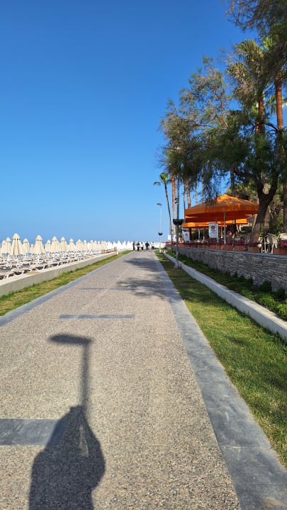 Strand Arum Barut Collection