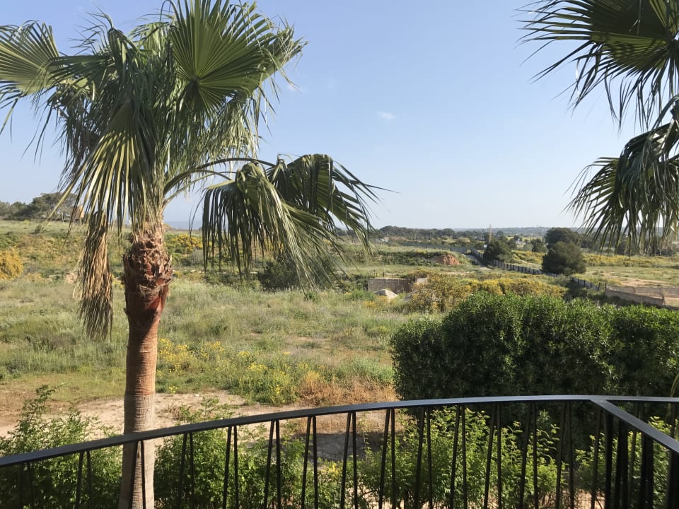 Ausblick Grupotel Playa de Palma Suites & Spa