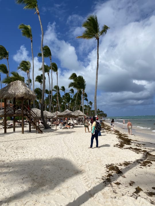 Strand Dreams Royal Beach Punta Cana