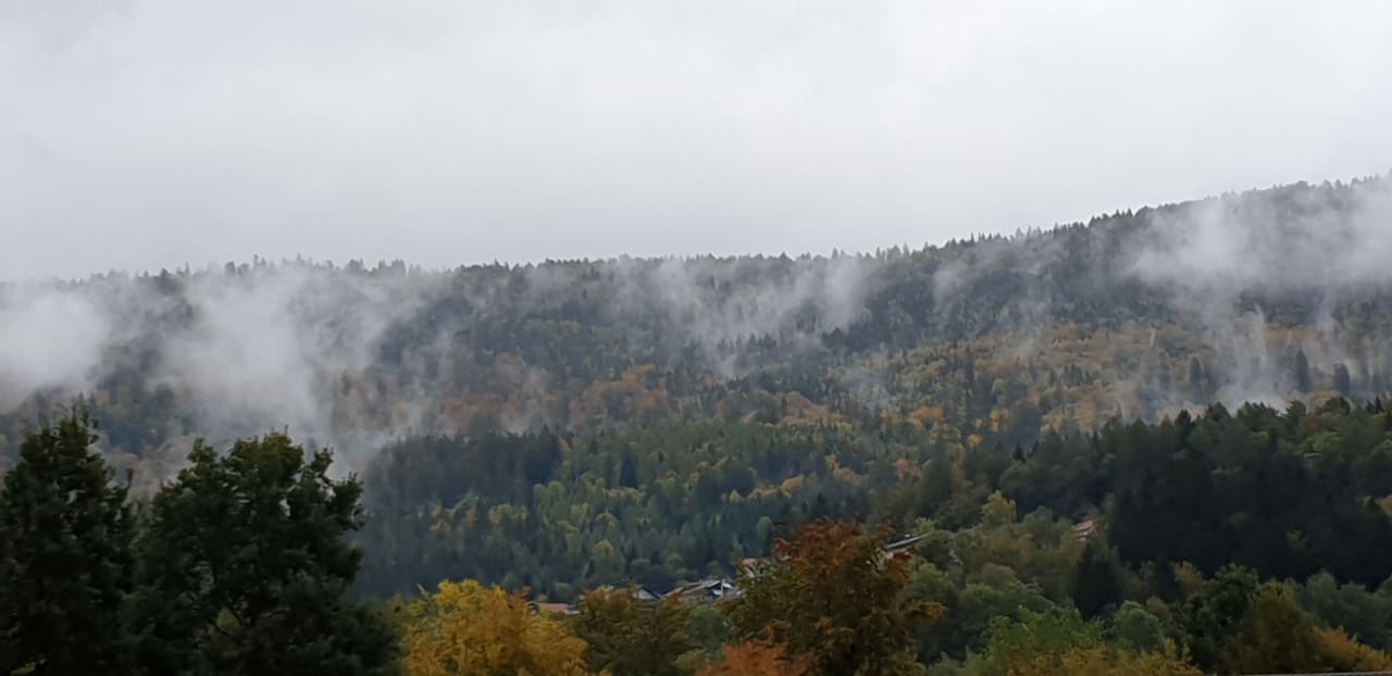 Ausblick Landhaus Meine Auszeit