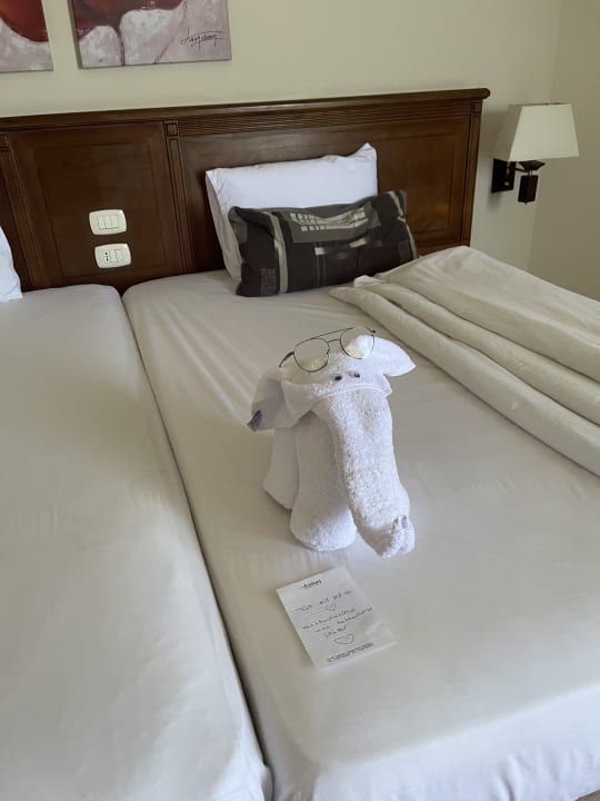 Zimmer Amwaj Beach Club Abu Soma Resort
