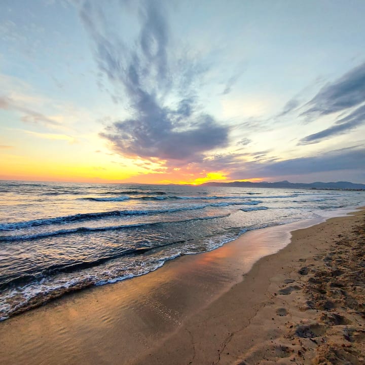 Strand Myseahouse Flamingo - Adults only