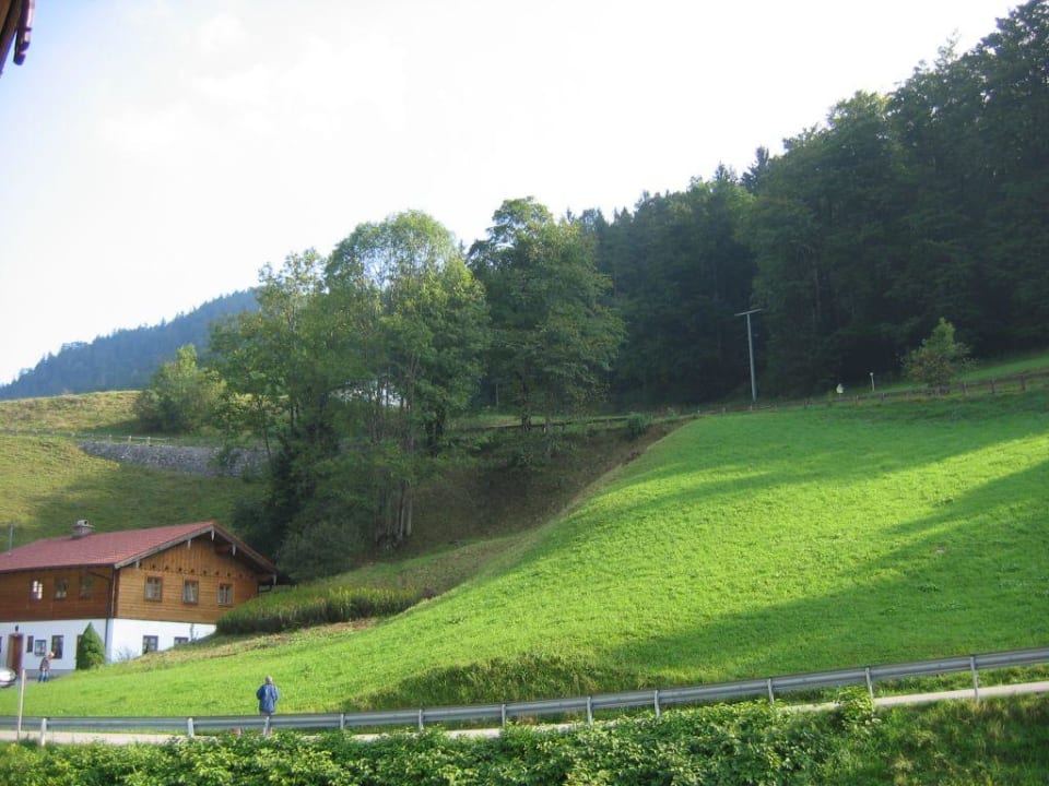 Blick vom Balkon Ferienwohnung Haus Fendtleitbichl