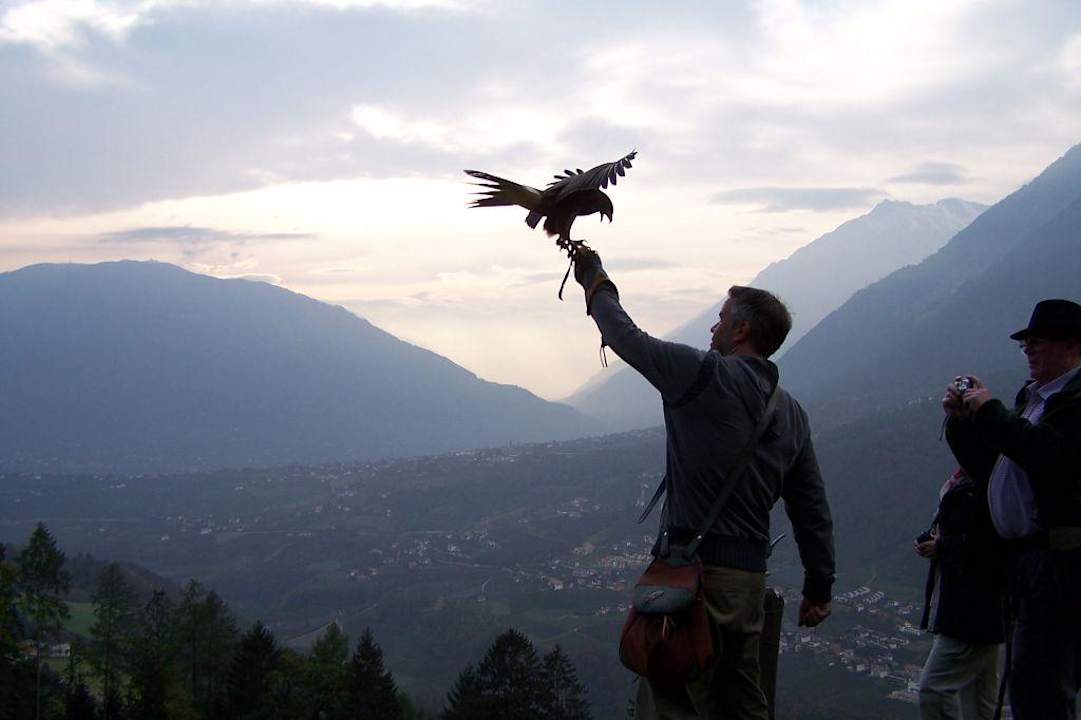 Flugvorführung für die Gäste Hotel Panorama
