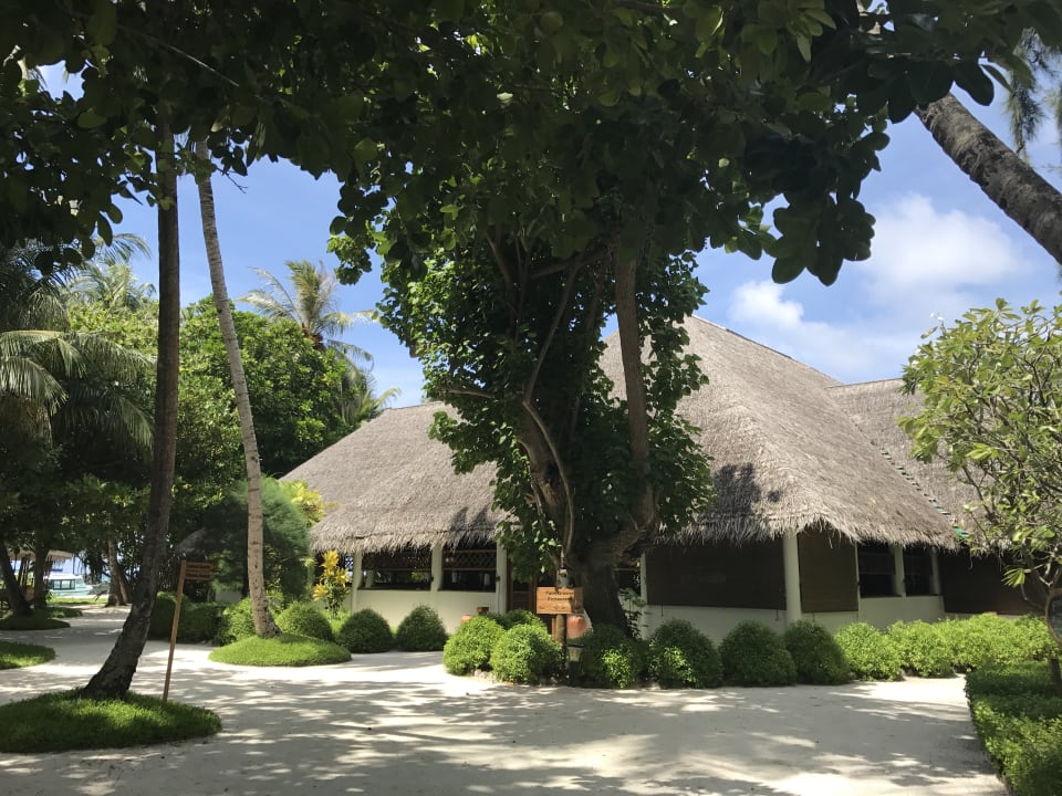 Gastro Fihalhohi Maldives