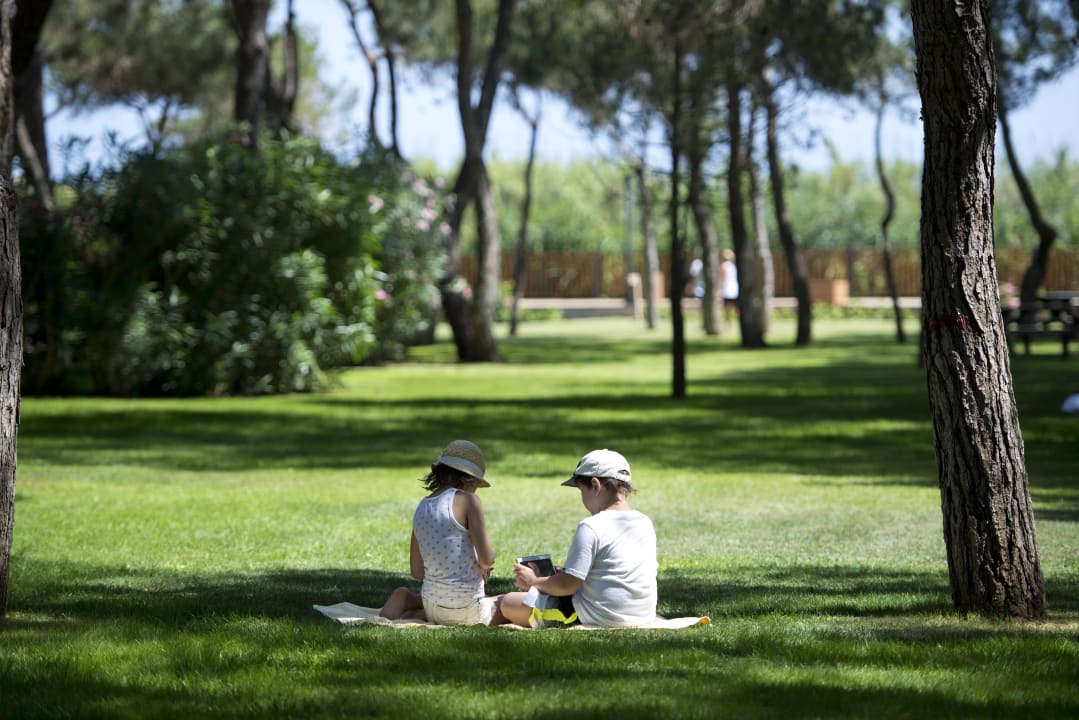 Picknik im Vogelparadies Xanadu Resort Hotel