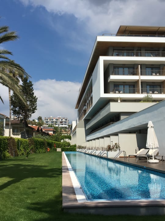 Zimmer Acanthus Cennet Barut Collection