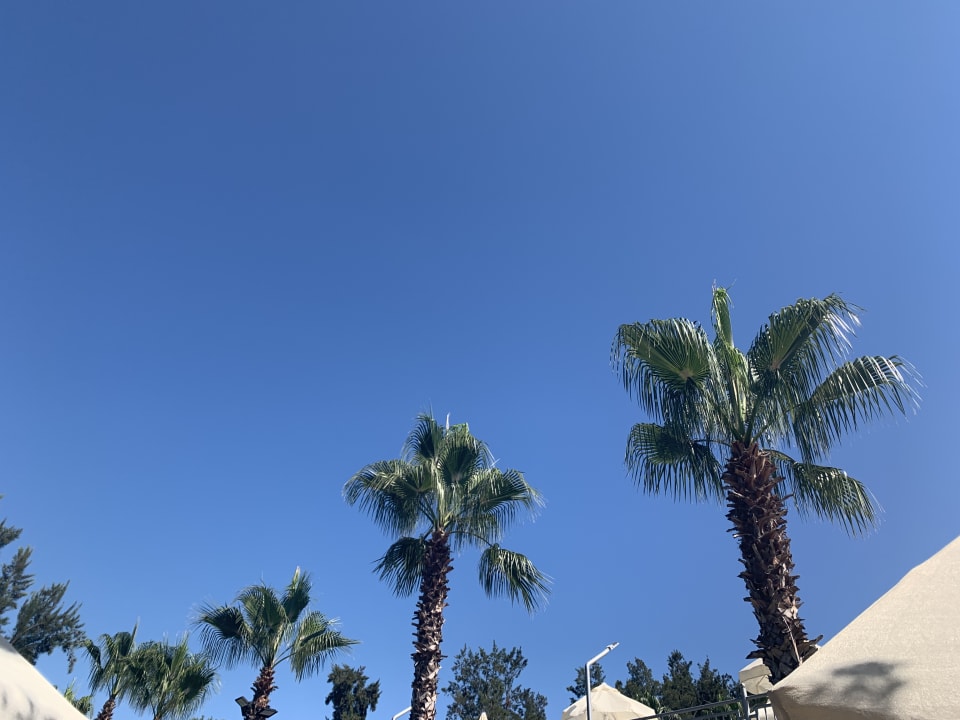 Gartenanlage Club Sidelya Hotel