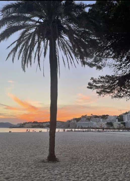 Strand Globales Playa Santa Ponsa