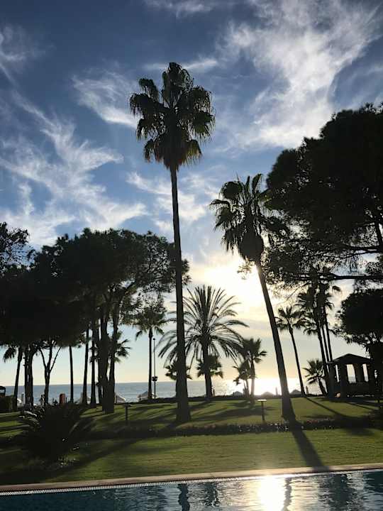 Ausblick Acanthus Cennet Barut Collection