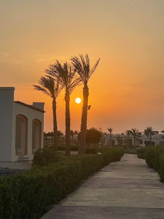 Gartenanlage Amarina Queen Resort Marsa Alam