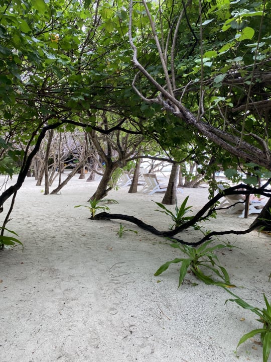 Strand Summer Island Maldives