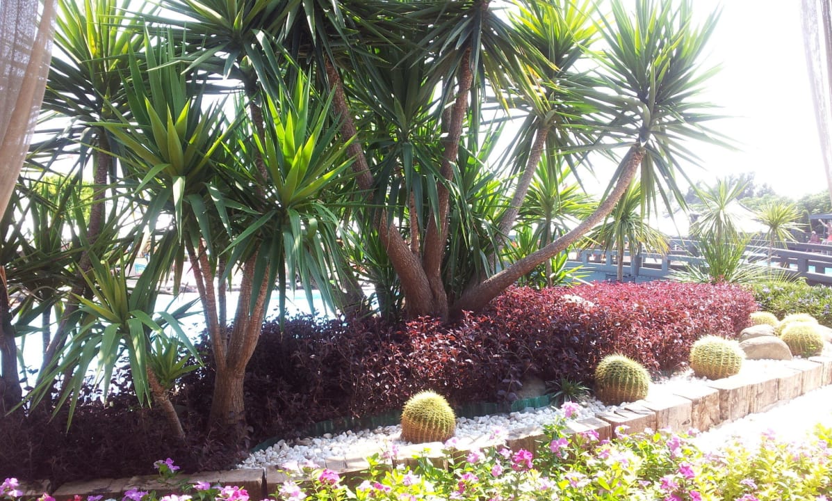 Sehr schöne gepflegte Gartenanlage Limak Lara Deluxe Hotel & Resort