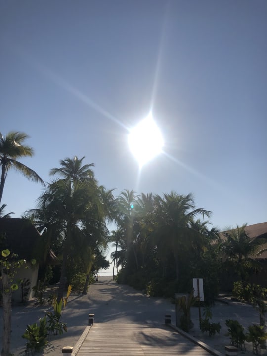 Ausblick Cinnamon Velifushi Maldives