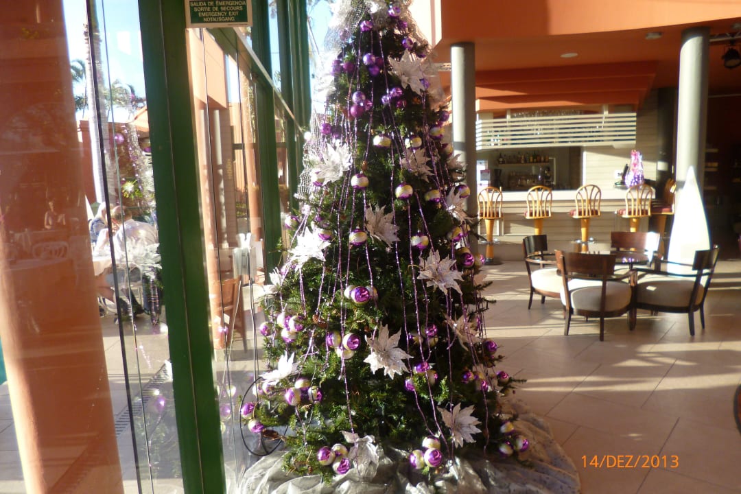 Weihnachtsbaum Adrián Hoteles Colón Guanahaní - Adults only