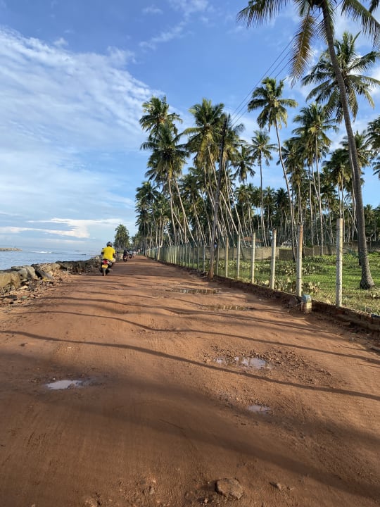 Strand Cinnamon Sea Health Care