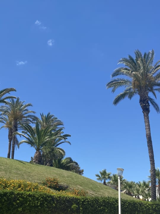 Gartenanlage Rodos Princess Beach Hotel & Spa