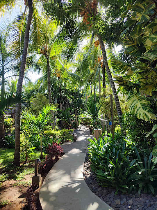 Gartenanlage Lagoon Attitude - Adults only