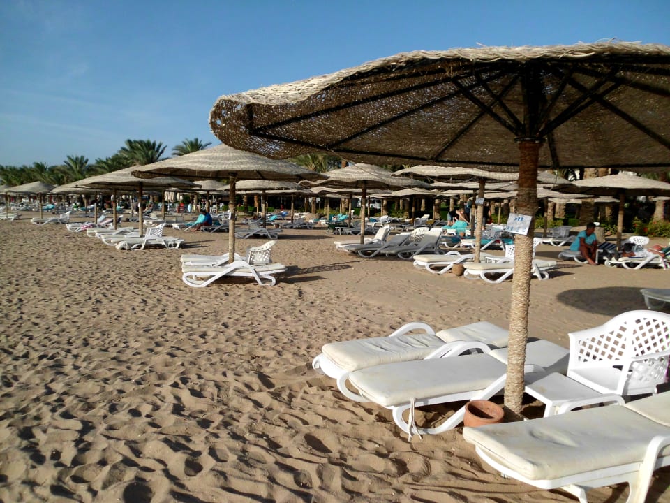Strand Fort Arabesque Resort, Spa & Villas