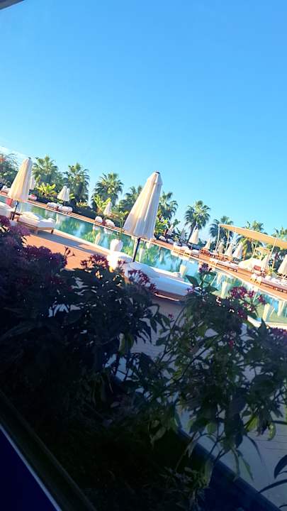 Pool Rubi Platinum Sign