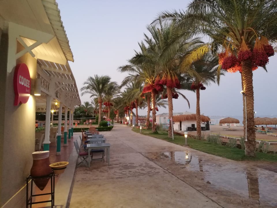 Strand Sentido Caribbean World Soma Bay