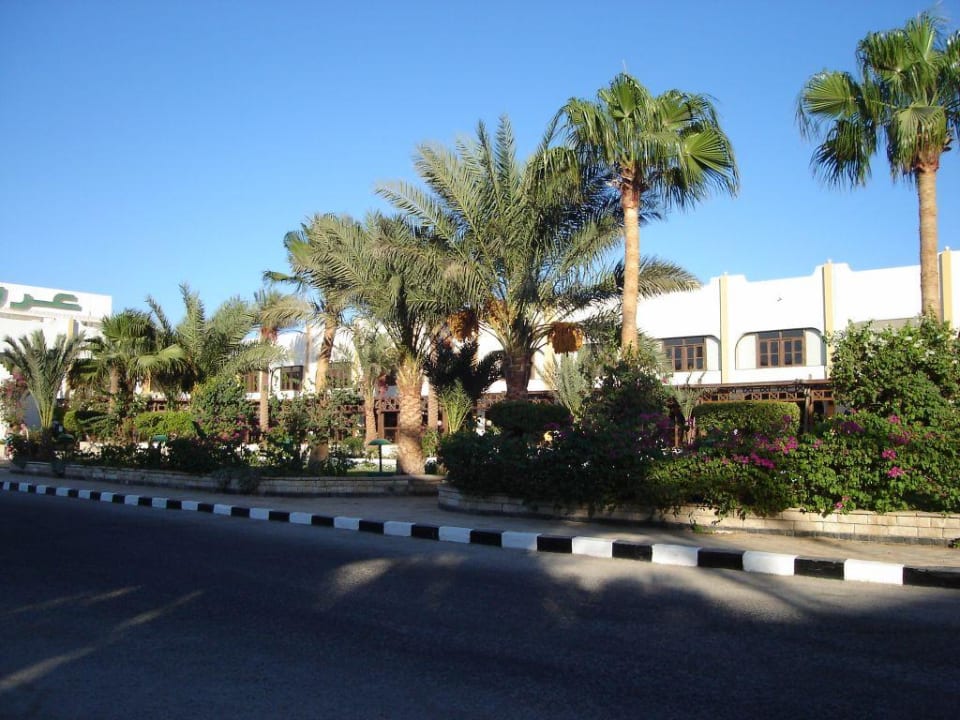 Hoteleinfahrt Arabia Azur Resort