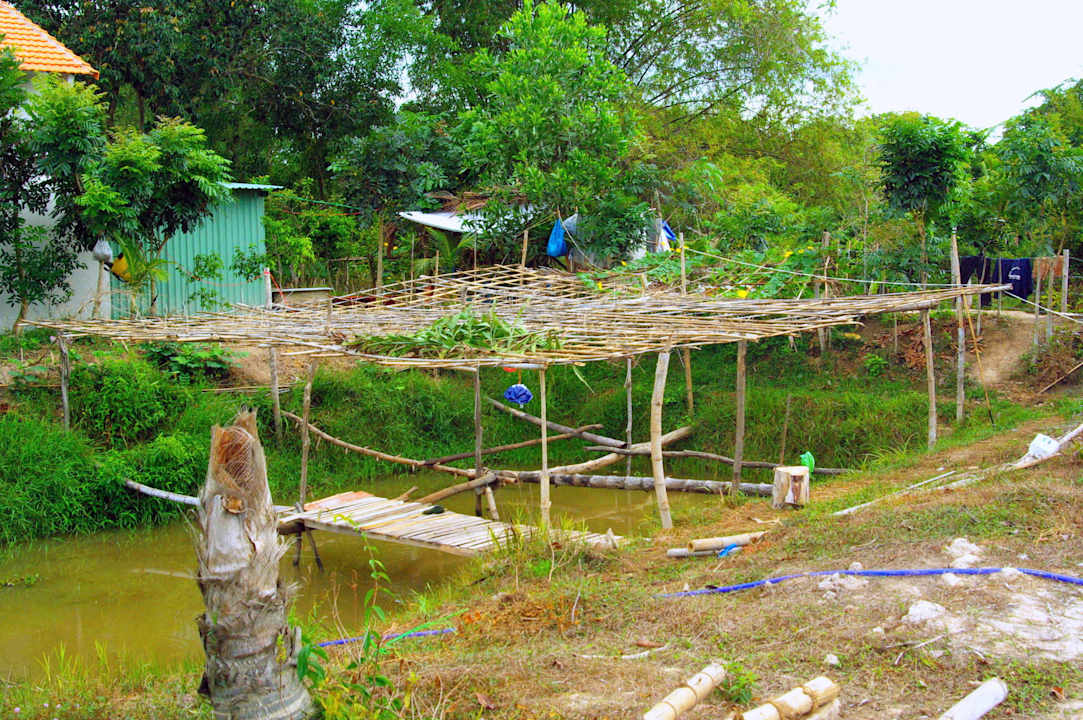 Hinter den Bungalows bei der Fröschen und Fischen Ong Lang Village Resort