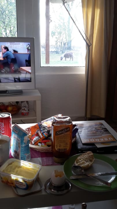 Blick vom Bungalow nach außen  Ferienresort Möwenort