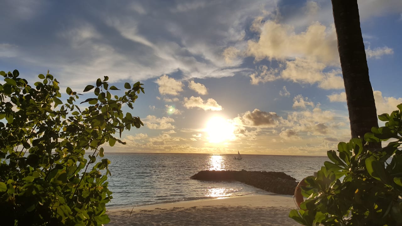 Strand Summer Island Maldives