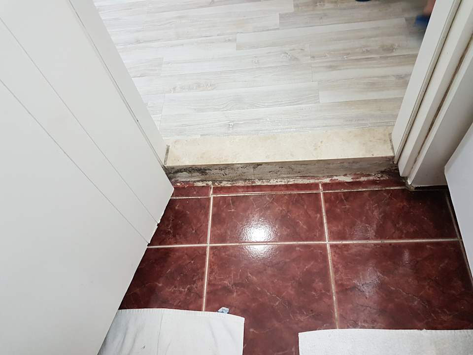 Zimmer Side Miami Beach