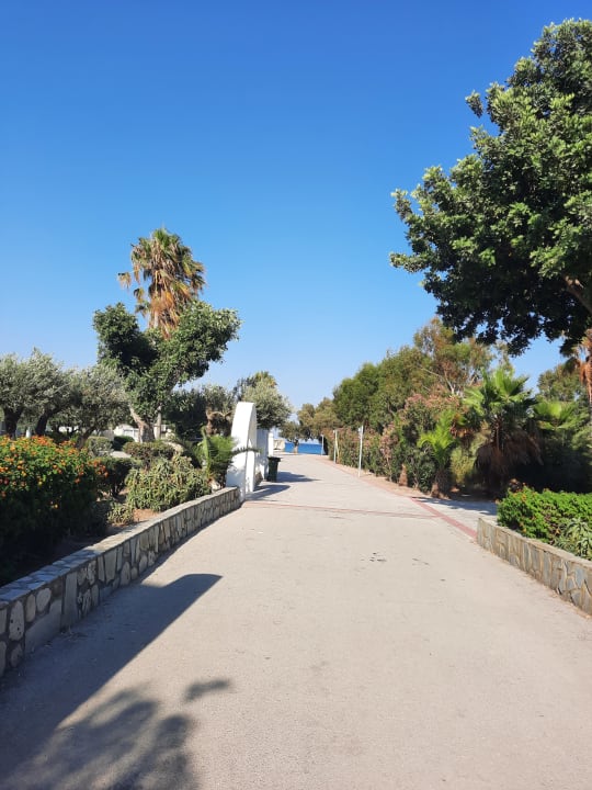 Gartenanlage Atlantis Hotel