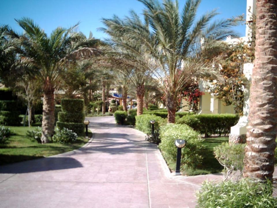 Tolle gepflegte Gartenanlage Palm Beach Resort