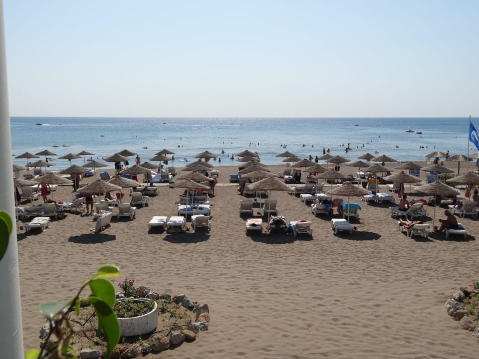 Strand Hotel Calypso Beach