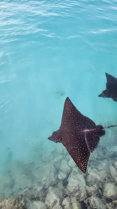 Strand Summer Island Maldives