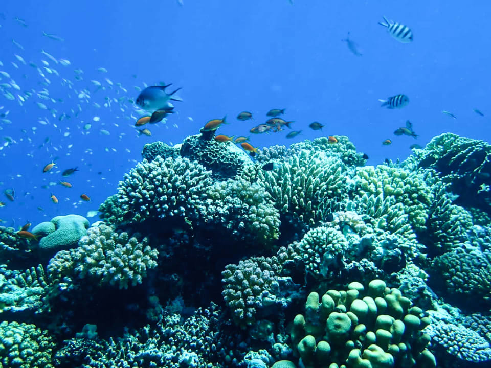 Strand MG Alexander The Great Hotel