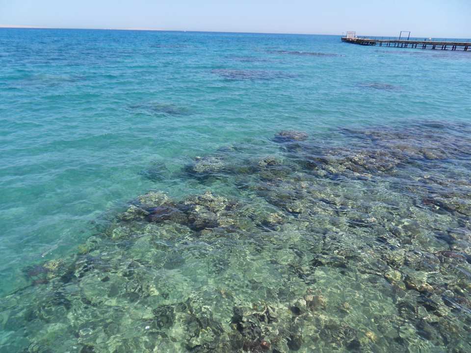 Meer Pickalbatros Alf Leila Wa Leila Resort - Neverland Hurghada
