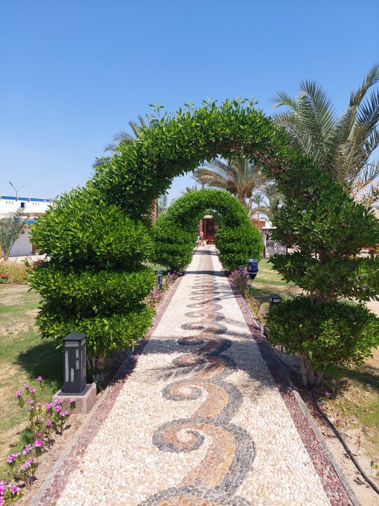 Gartenanlage Coral Sun Beach